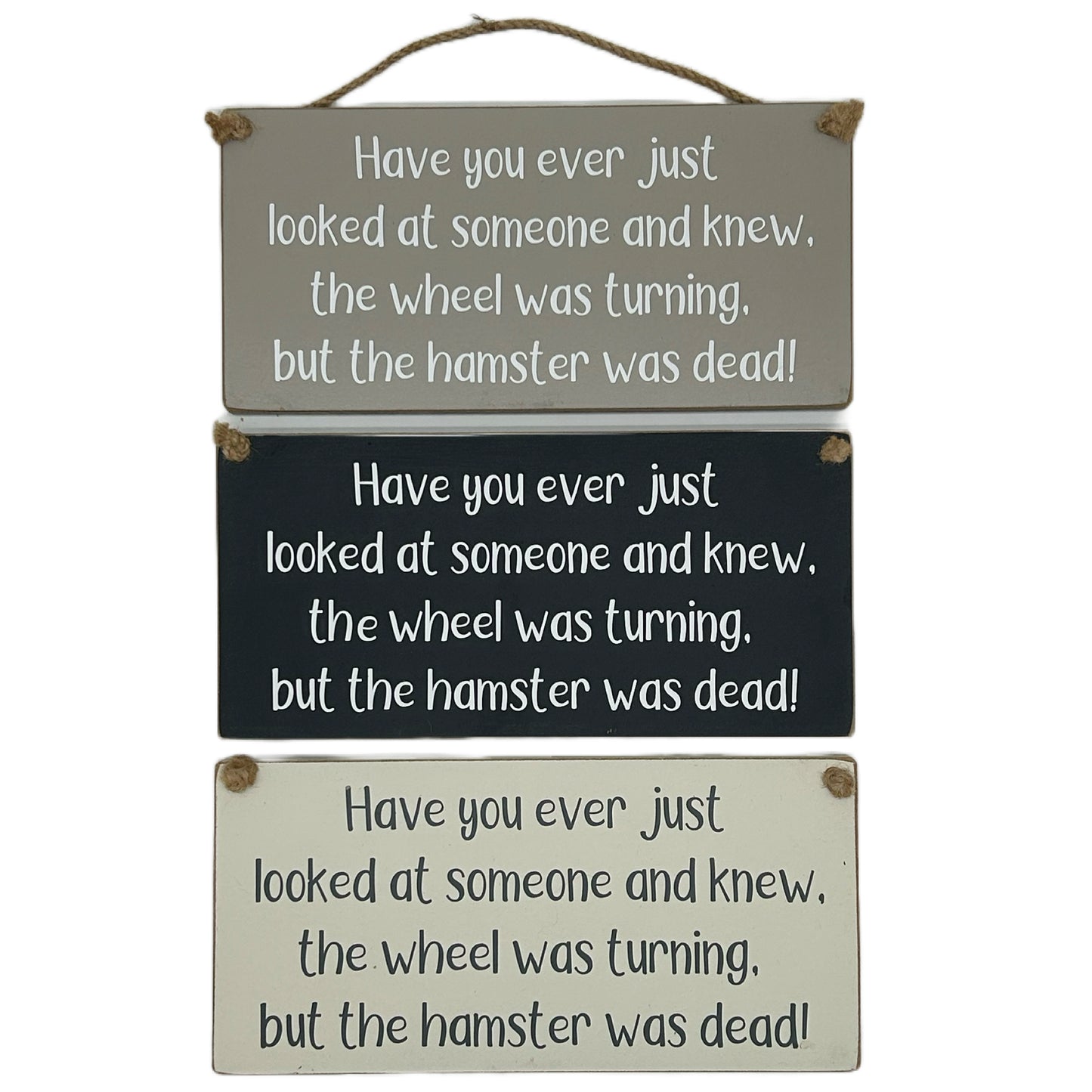 Have you ever just looked at someone and thought the wheel is turning but the hanster is dead!