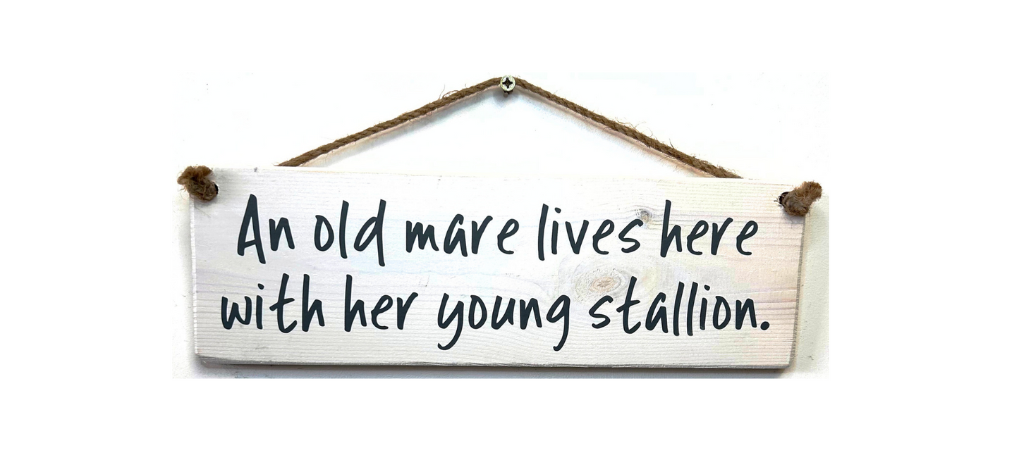 An old mare lives here with her young stallion