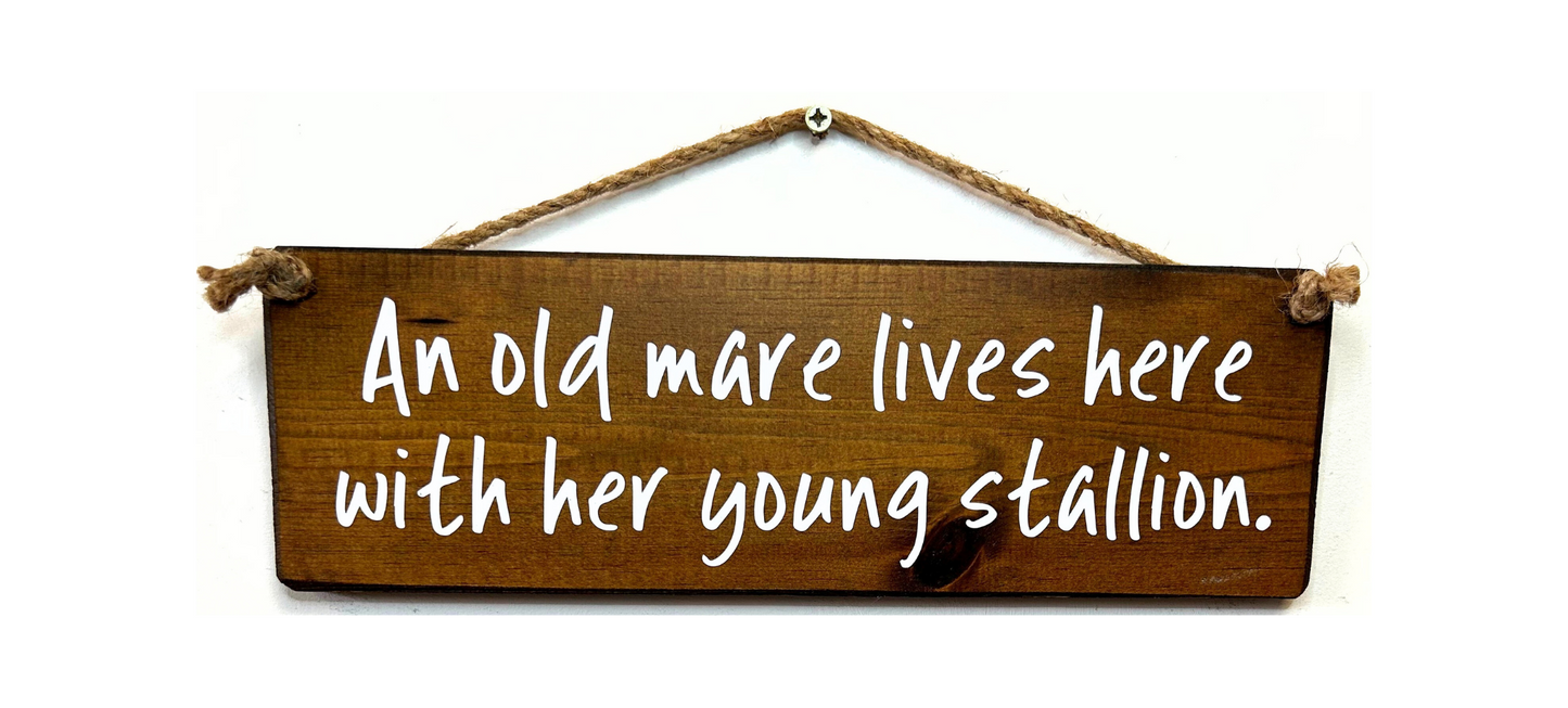 An old mare lives here with her young stallion