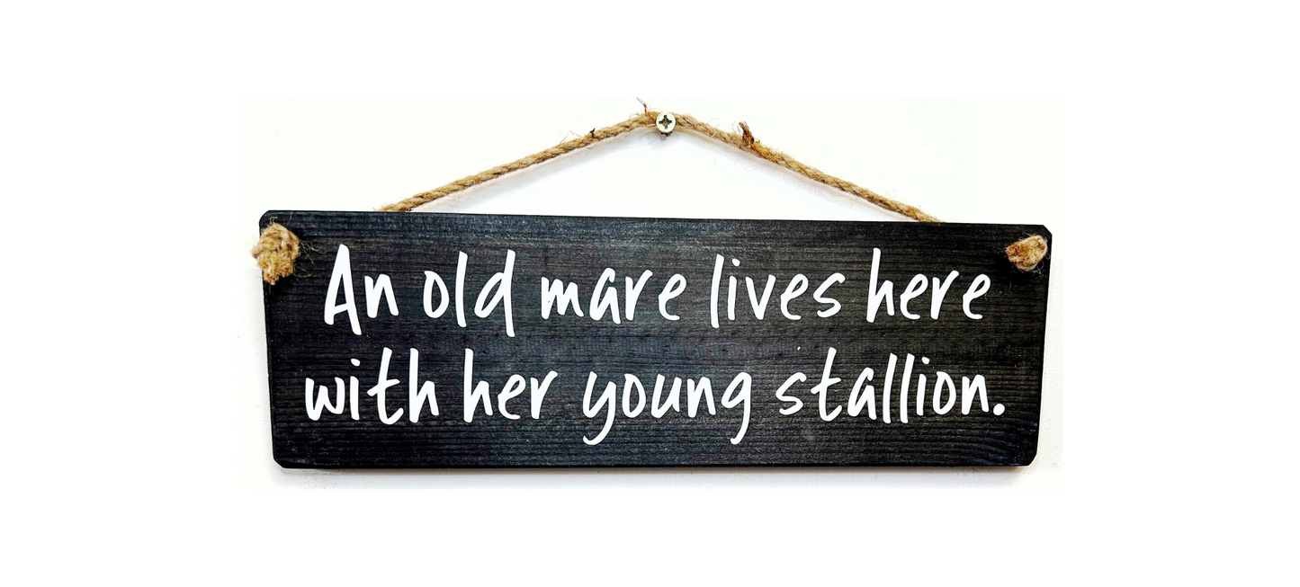 An old mare lives here with her young stallion