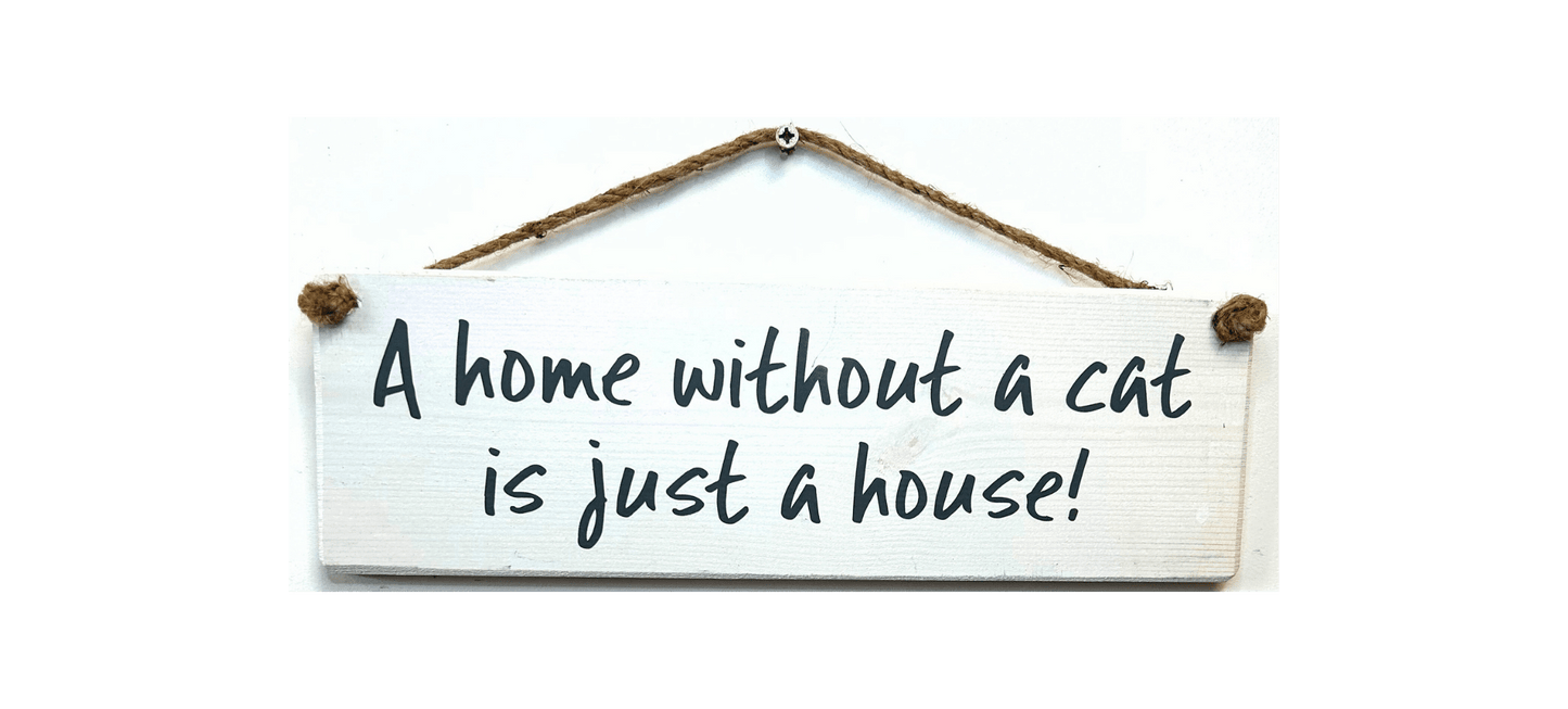 A home without a cat is just a house