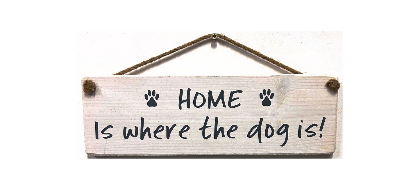 Home is where the dog is