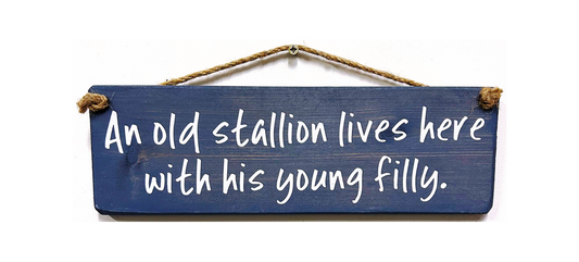 An old stallion lives here with his young filly
