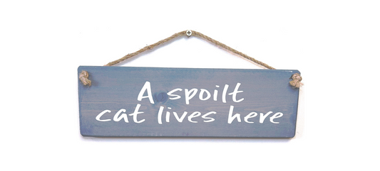 A Spoilt Cat Lives Here